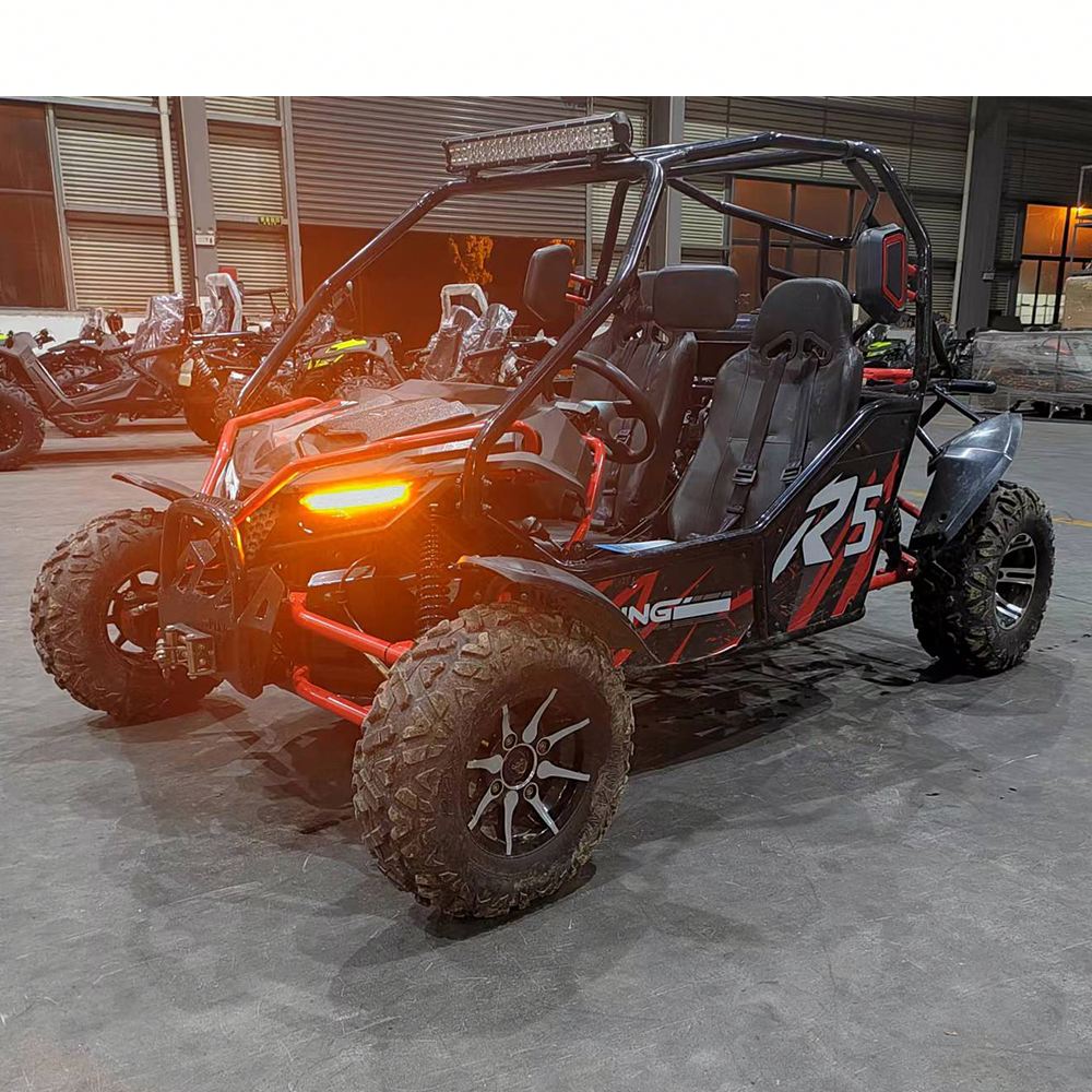 Outdoor Power And Pedal - 4ストローク高性能ペダルゴーカートR5、大トルクパワーコンポーネント、純粋なレーシング情熱、屋外販売用