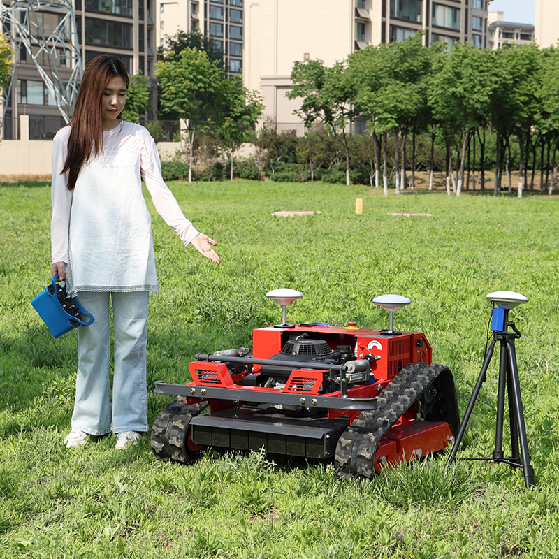 カスタマイズされたヘビーデューティー電池式芝刈り機1000s - Lawn Mower Battery のレビューと価格